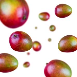 Mangoes