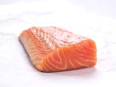 Salmon