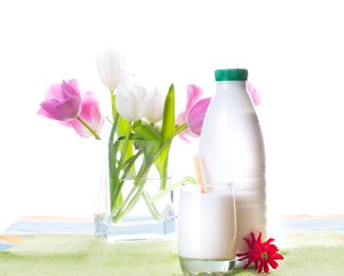 probiotic dairy foods
