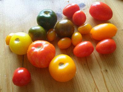 Rawfoods1.jpg