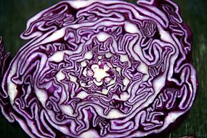 Red Cabbage