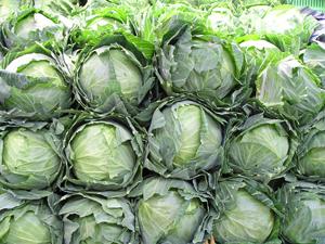 Cabbage patch