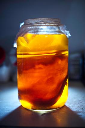 Kombucha tea