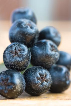 Aronia berries