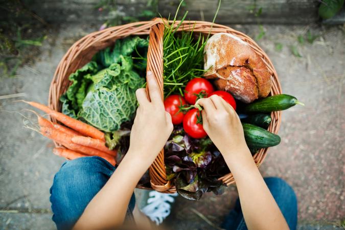 Harvested Vegetables
