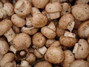 Mushrooms Contain Vitamin B5
