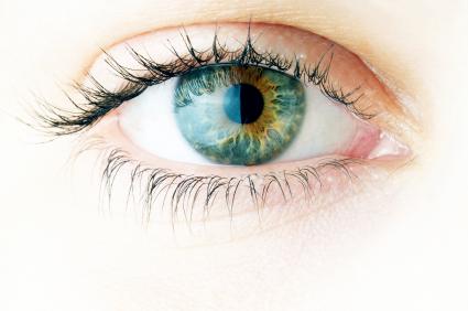 closeup of human eye