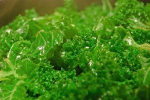 Kale, a good source of vitamin K
