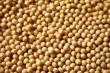 Risks of soy amino acids