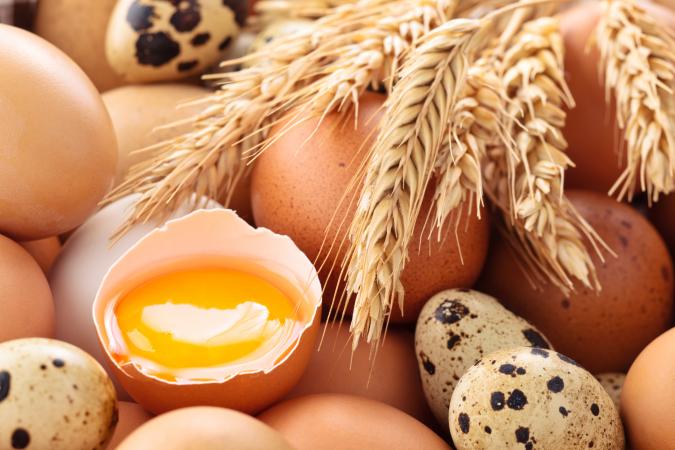 Biotin-rich foods, egg and whole grains