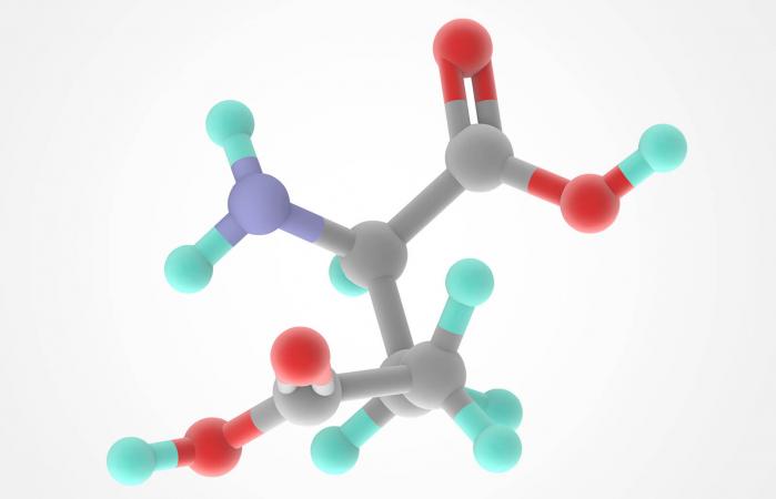 Glutamic acid molecule