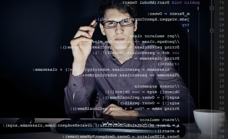 Software Developer