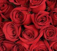 Closeup of a red rose bridal bouquet