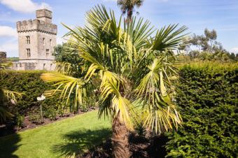 Lismore Castle, Ireland