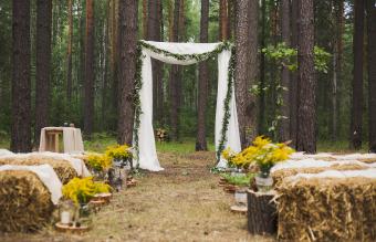 Old autumn wood for wedding ceremony