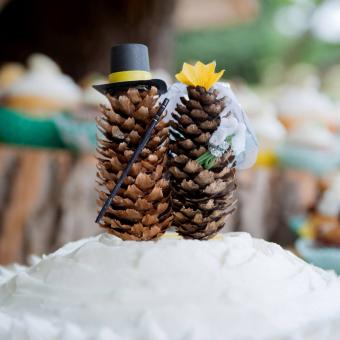 Fir cone models on top of wedding cake