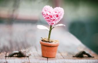 tiny topiary favor