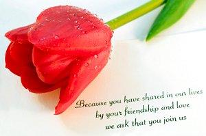 Red rose and a wedding invitation in a stylish font