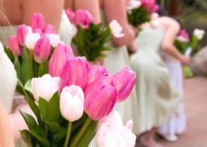 Bridesmaids holding pink and white spring tulips