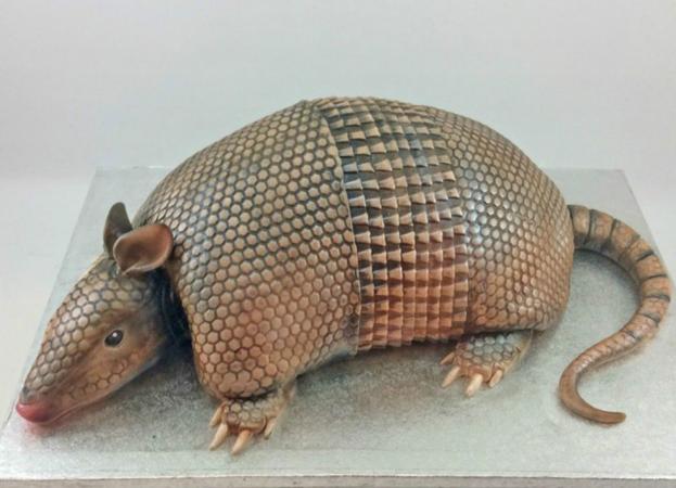 Realistic-looking Armadillo groom's cake