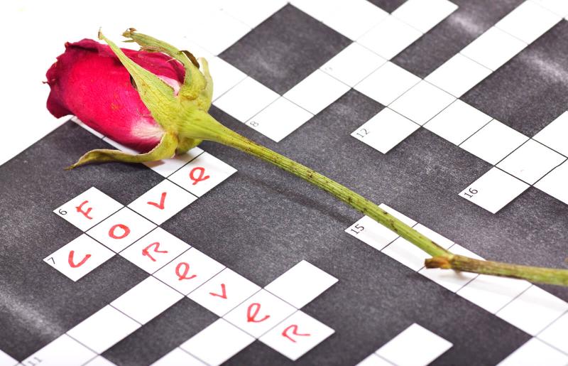 budget-friendly-bridal-shower-enjoy-free-printable-games-lovetoknow