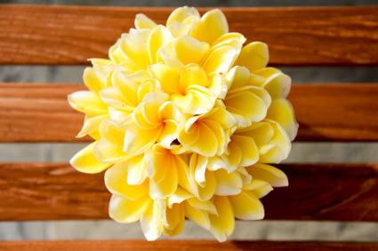 Handheld Plumeria Wedding Bouquet Lovetoknow