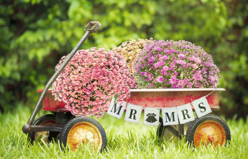 How to Decorate a Red Wagon for a Wedding LoveToKnow