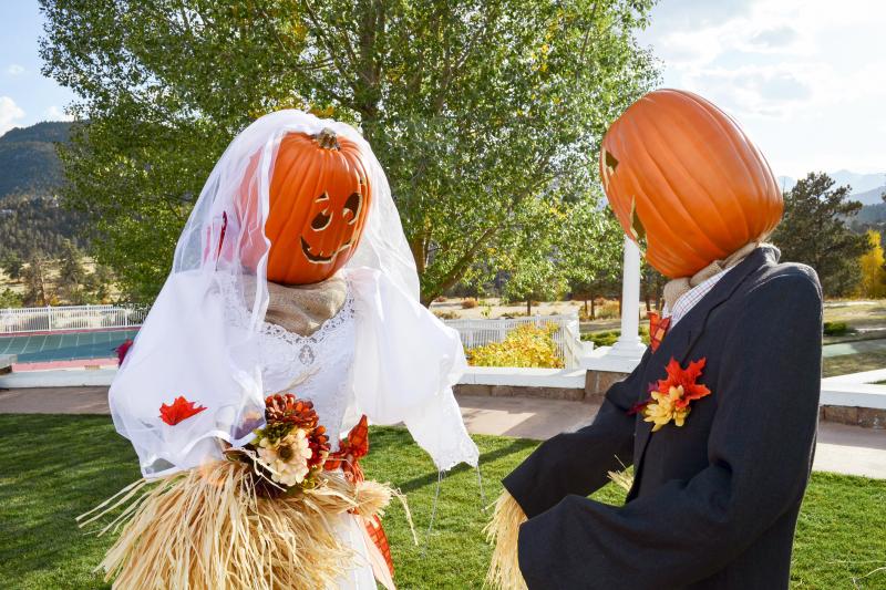 Bride and Groom Decorated Pumpkins LoveToKnow