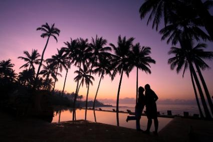 palm trees at sunset