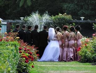 Spotlight_on...wedding_party.jpg