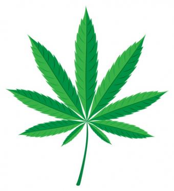 Marijuana Leaf