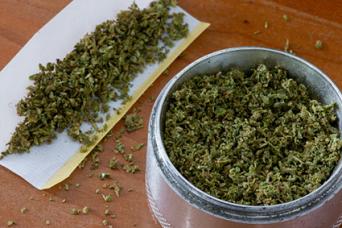 Marijuana Grinder