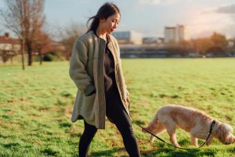 Asian woman walking her dog in the park on a sunny day