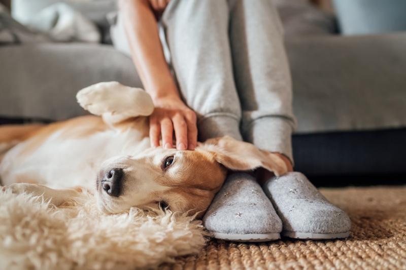 Woman petting her dog