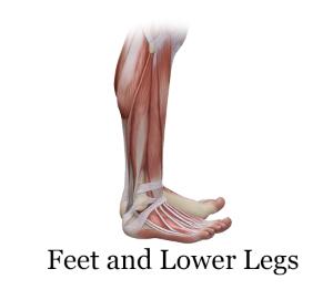 feet and lower legs