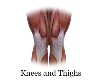 knees and thighs
