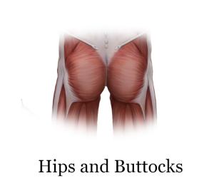 hips and buttocks