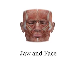 jaw and face