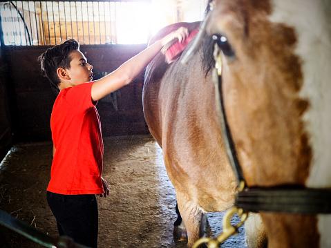 Boy grooming his horse