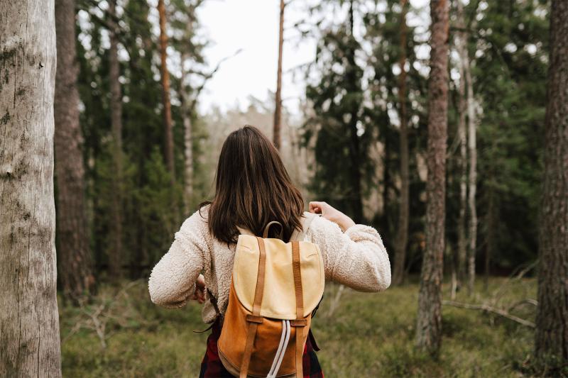 person exploring forest