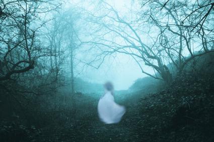 A dark, spooky forest with a ghostly woman in a white dress