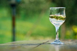 white wines_chardonnay