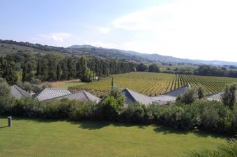 Ca' Marcanda Winery