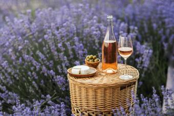 Picnic outdoors in lavender fields in Provence, south France