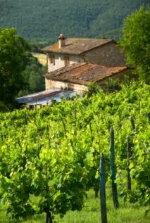 Stags Leap is home to several beautiful wineries.