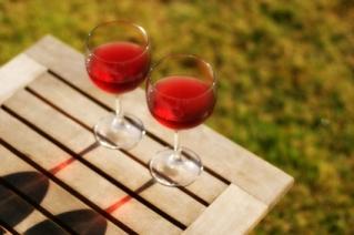 Enjoy the adventure of Spanish wine.