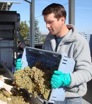 James Michael, Wine Expert