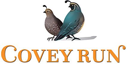 Cover Run Logo