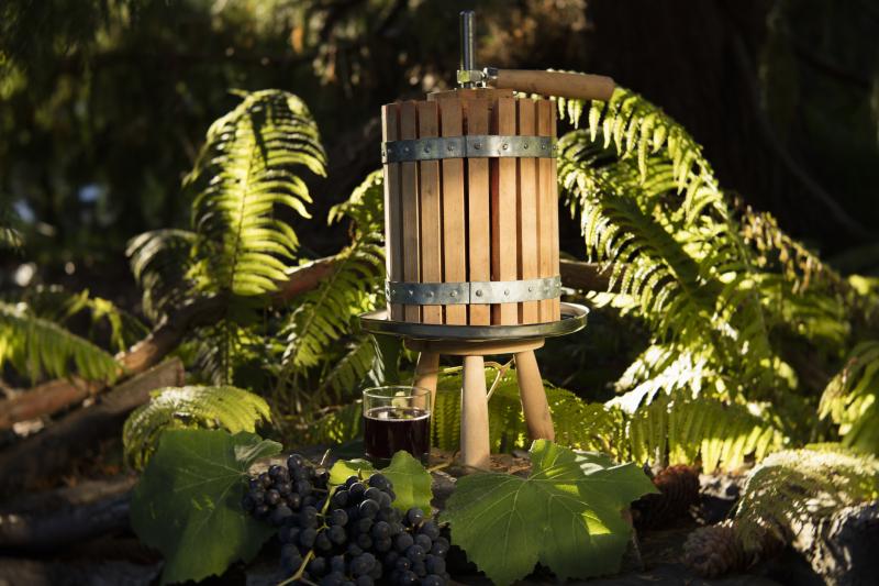 Choosing a Wine Press for Home Wine Making LoveToKnow