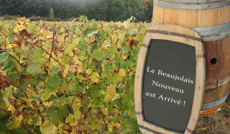 Beaujolais nouveau has arrived
